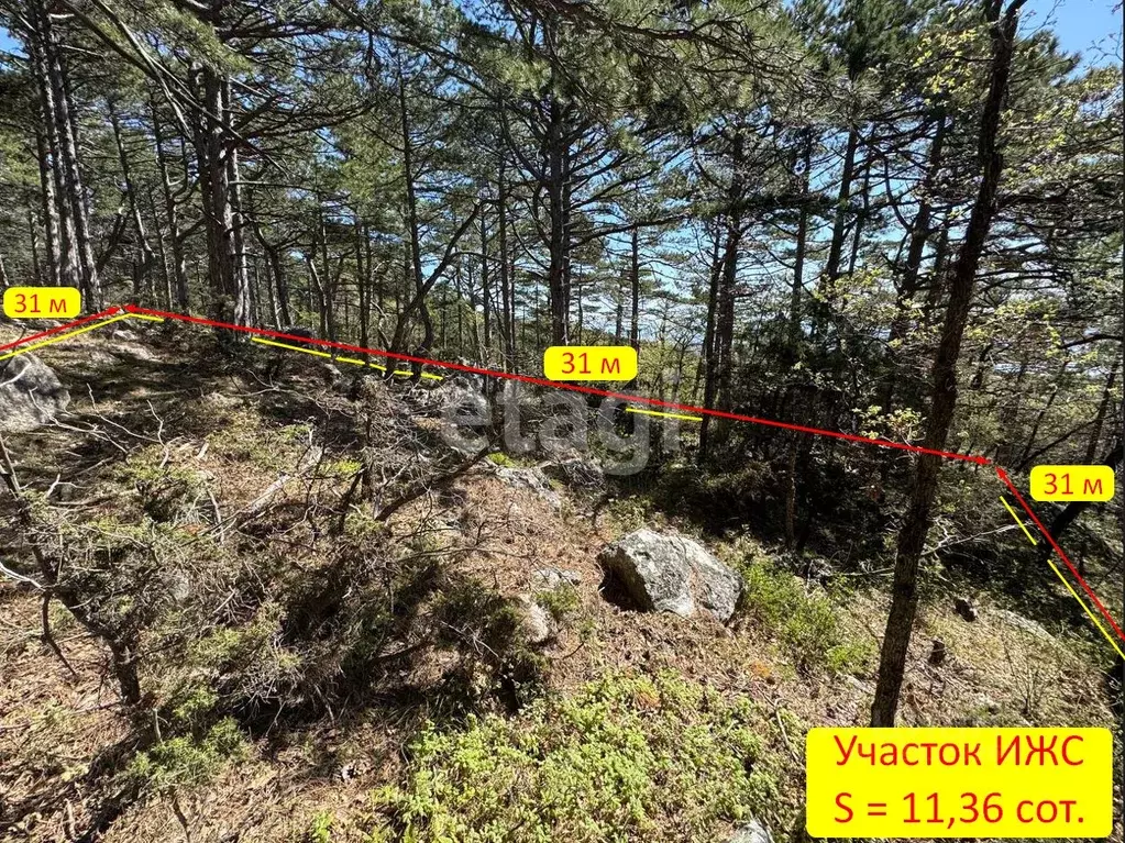 Участок в Крым, Ялта муниципальный округ, Гаспра пгт ш. Южнобережное ... - Фото 2