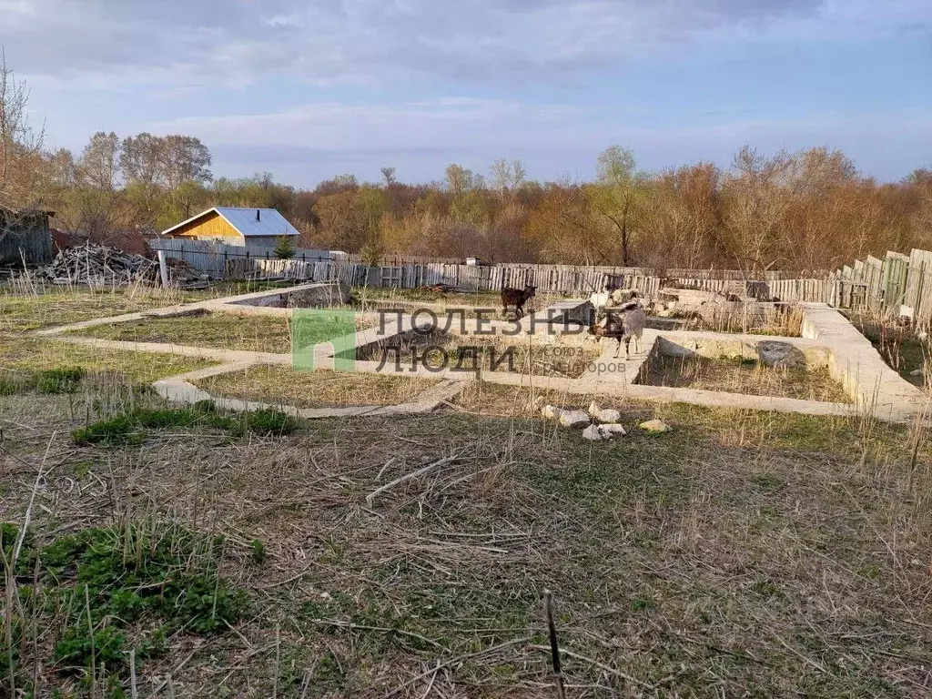 Участок в Самарская область, Сызранский район, с. Заборовка ... - Фото 1