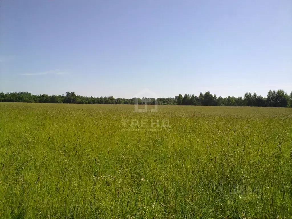 Участок в Ленинградская область, Тосненский район, Любанское городское ... - Фото 1
