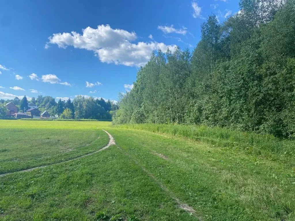 Участок в Московская область, Пушкинский городской округ, д. Василево  ... - Фото 1