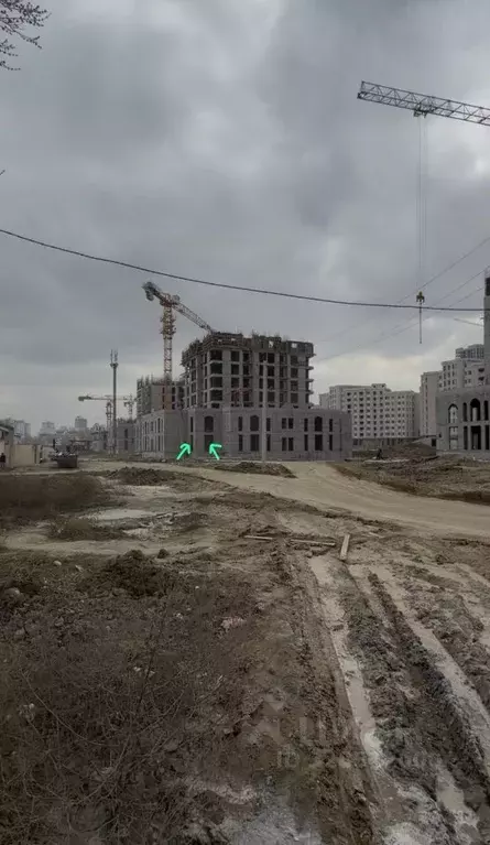 Помещение свободного назначения в Чеченская республика, Грозный просп. ... - Фото 1