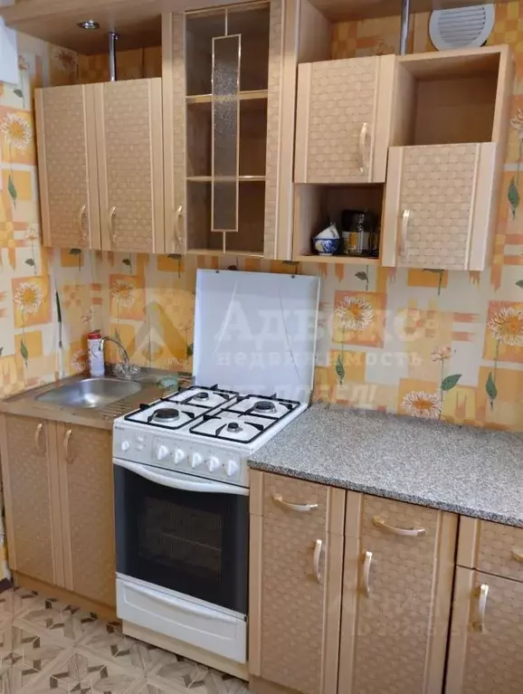 1-к кв. Тюменская область, Ялуторовск ул. Бахтиярова, 62 (29.3 м) - Фото 2