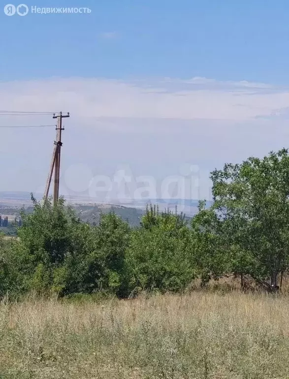 Участок в Белогорский район, Криничненское сельское поселение, село ... - Фото 2