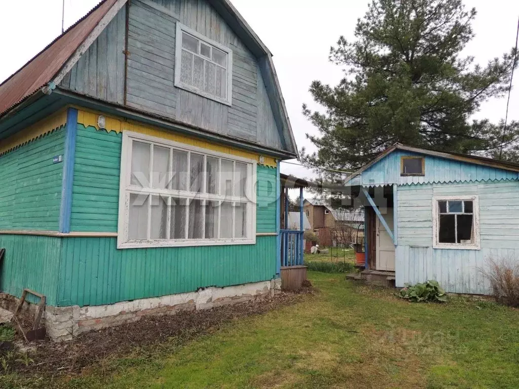 Дом в Новосибирская область, Колыванский район, Электрон СНТ  (45 м) - Фото 1