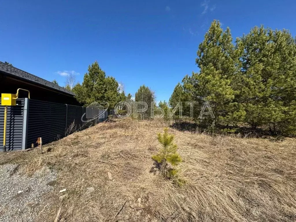 Участок в Тюменская область, Нижнетавдинский район, Березка СНТ  (25.0 ... - Фото 2