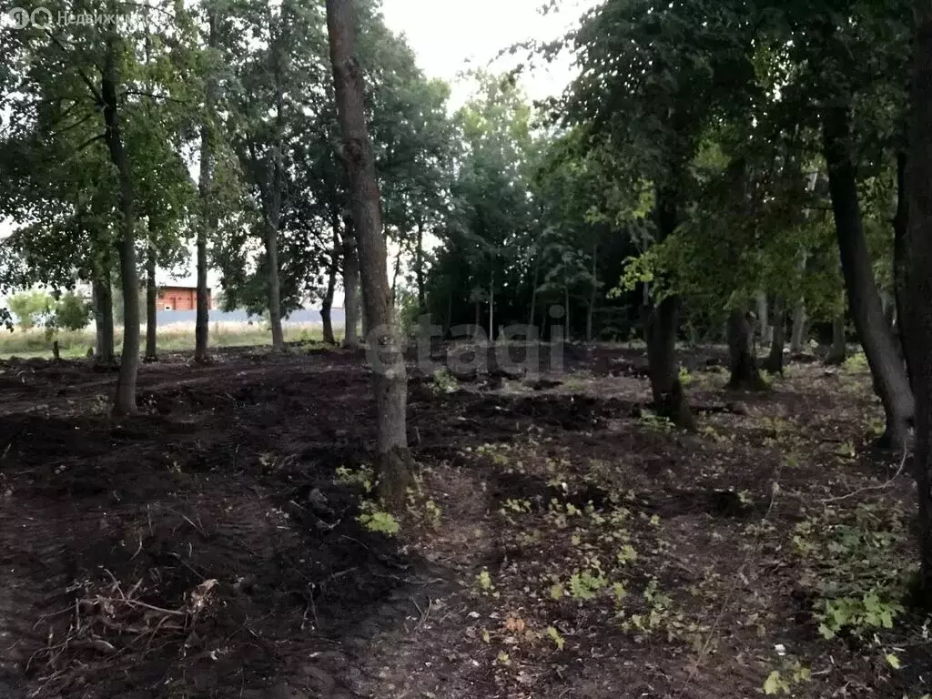 Участок в Берсеневка, Восточная улица (10 м) - Фото 0