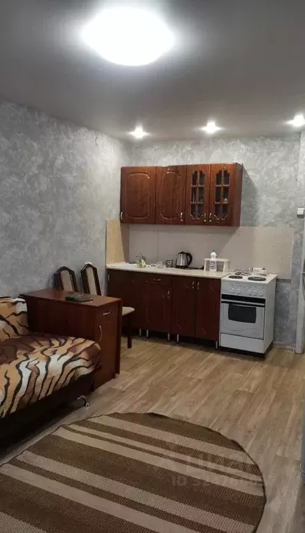 Студия Алтайский край, Барнаул Сельскохозяйственная ул., 4 (29.0 м) - Фото 1