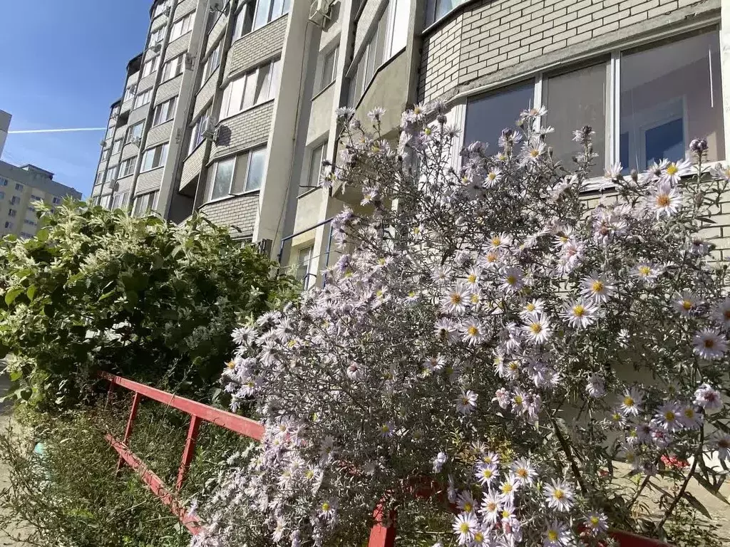 2-к кв. Саратовская область, Саратов ул. Имени К.Г. Уфимцева, 3А (56.0 ... - Фото 2