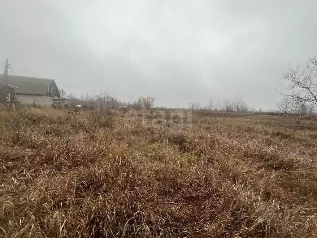 Участок в Воронежская область, Борисоглебск Лазоревая ул. (9.0 сот.) - Фото 1