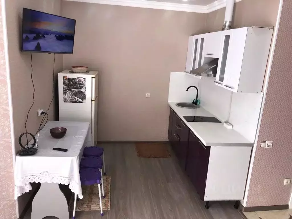 1-к кв. Краснодарский край, Сочи Новый Сочи мкр, ул. Клубничная, 1А/5 ... - Фото 1