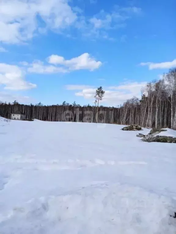 Участок в Свердловская область, Екатеринбург Чистые ручьи кп,  (10.0 ... - Фото 1