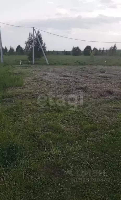 Участок в Нижегородская область, Богородский муниципальный округ, д. ... - Фото 1