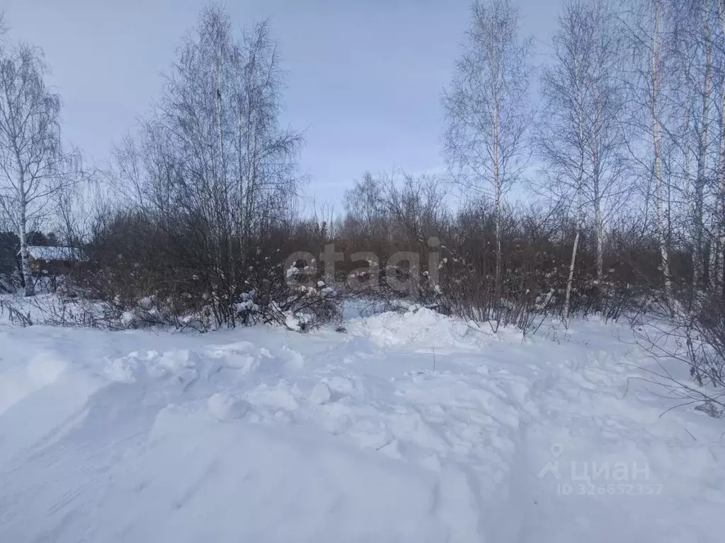 Участок в Курганская область, Курган Мечта СНТ, 12 (6.0 сот.) - Фото 1