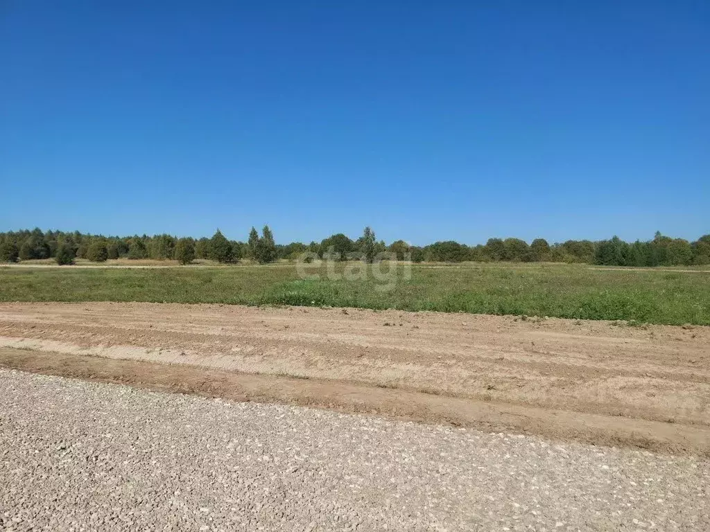 Участок в Калужская область, Боровский муниципальный округ, Совьяки ... - Фото 2