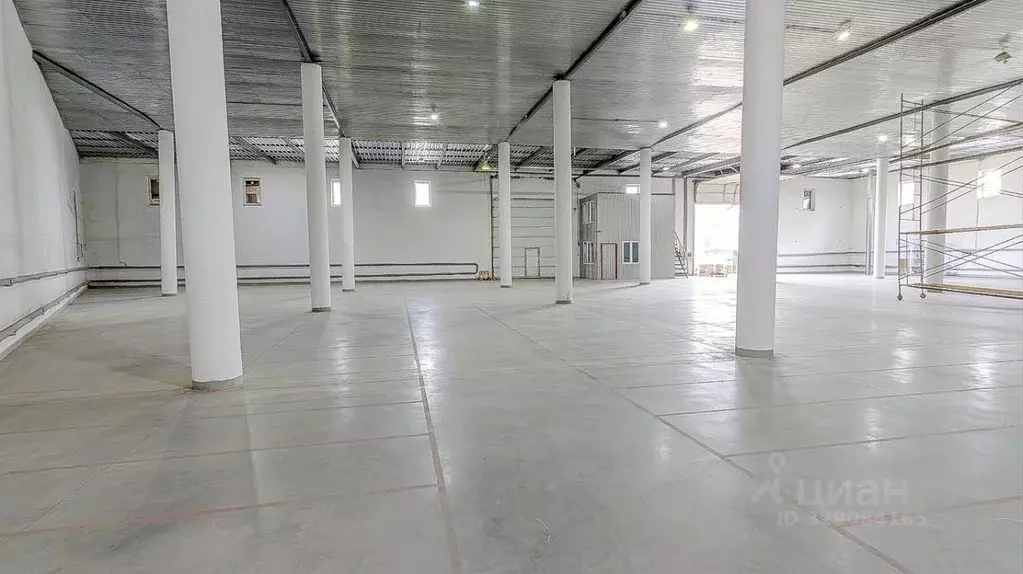 Склад в Московская область, Мытищи городской округ, д. Грибки ш. ... - Фото 2