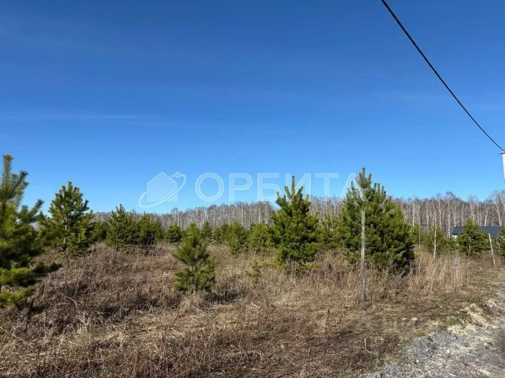Участок в Тюменская область, Тобольский муниципальный округ, ... - Фото 2