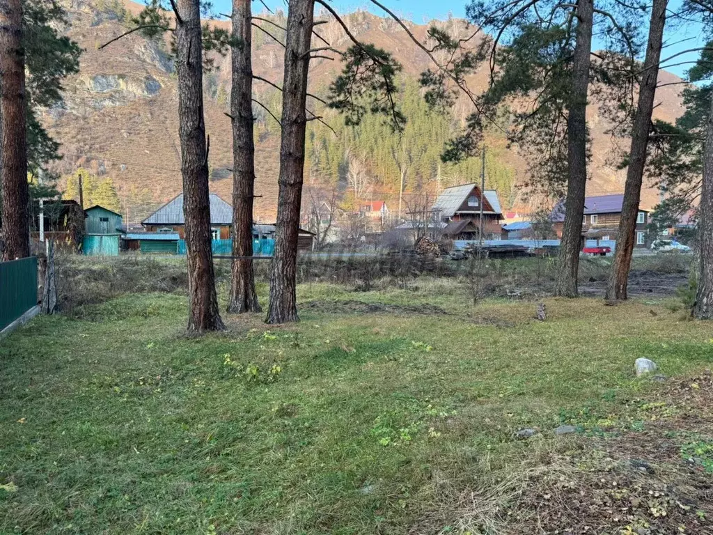 Участок в Алтай, Майминский район, с. Манжерок пер. Лесхозовский (10.0 ... - Фото 2