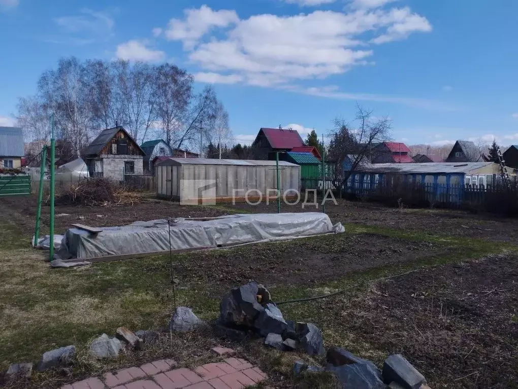 Участок в Новосибирская область, Новосибирский район, Морской ... - Фото 1