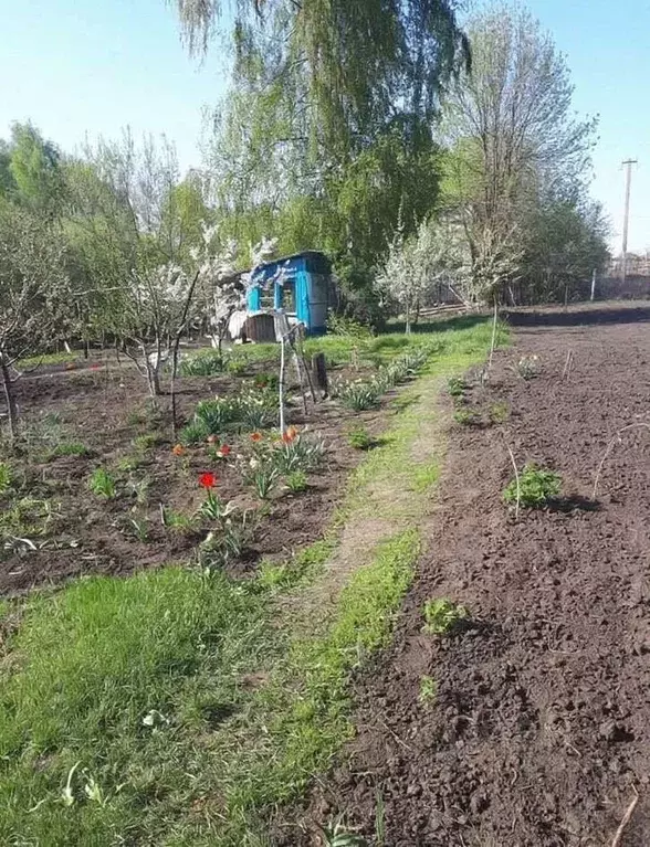 Участок в Белгородская область, Белгородский муниципальный округ, с. ... - Фото 2