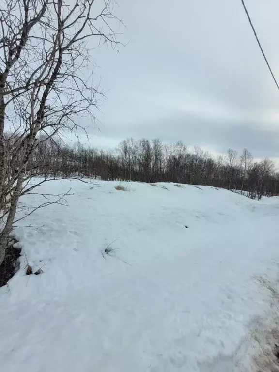 Участок в Мурманская область, Кольский муниципальный округ, Молочный ... - Фото 2
