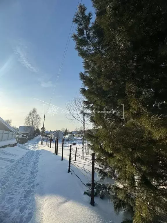 Участок в Томская область, Томск пос. Геологов, ул. Геологов, 11А (5.0 ... - Фото 2