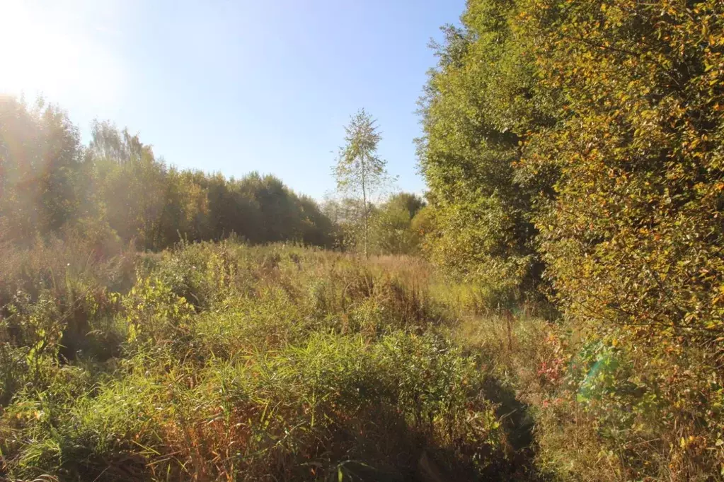 Участок в Московская область, Шаховская муниципальный округ, д. ... - Фото 0