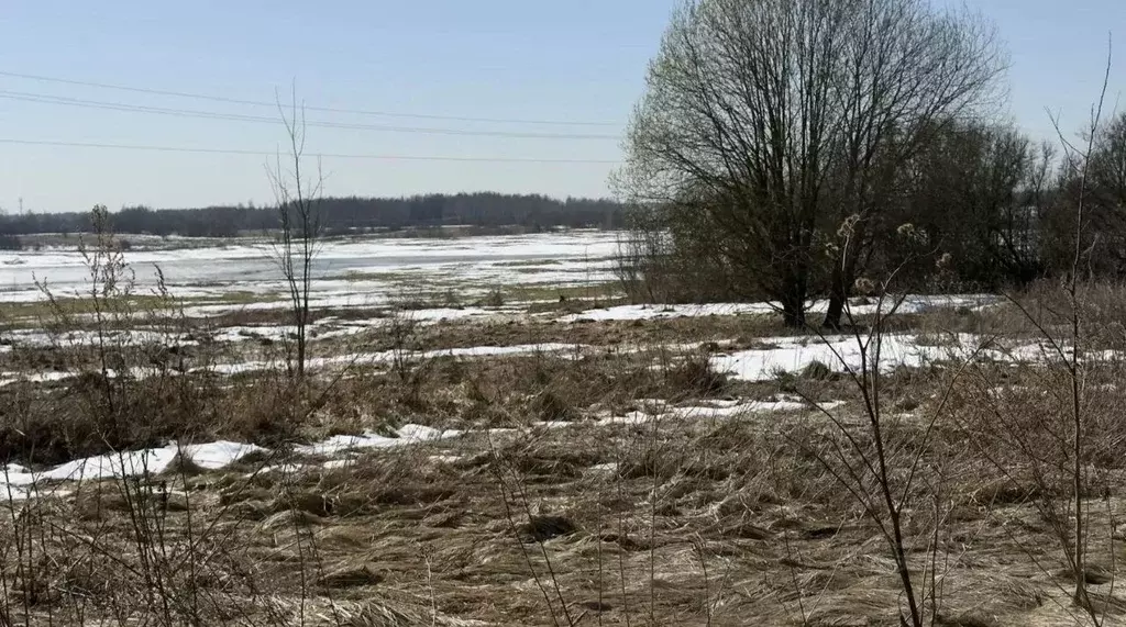 Участок в Московская область, Можайский муниципальный округ, д. Сельцы ... - Фото 1