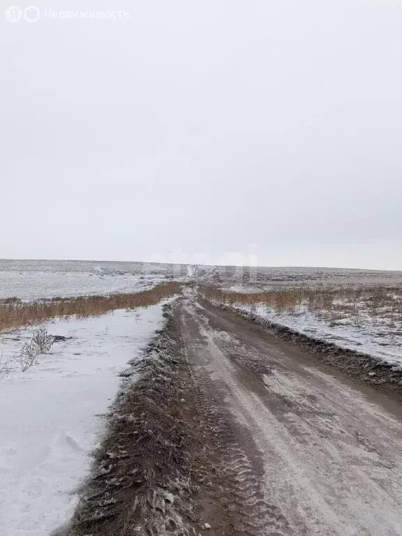 Участок в посёлок Расцвет, Архитектурная улица (5 м) - Фото 1
