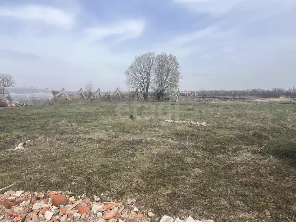 Участок в Мордовия, Лямбирский район, Берсеневское с/пос, Альтерра кп  ... - Фото 1