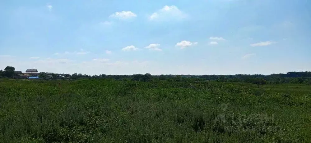 Участок в Оренбургская область, Оренбург городской округ, пос. ... - Фото 0