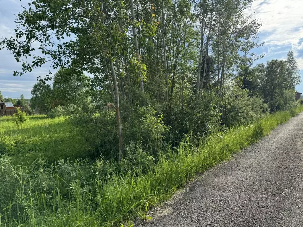 Участок в Московская область, Наро-Фоминский городской округ, Солнце ... - Фото 1