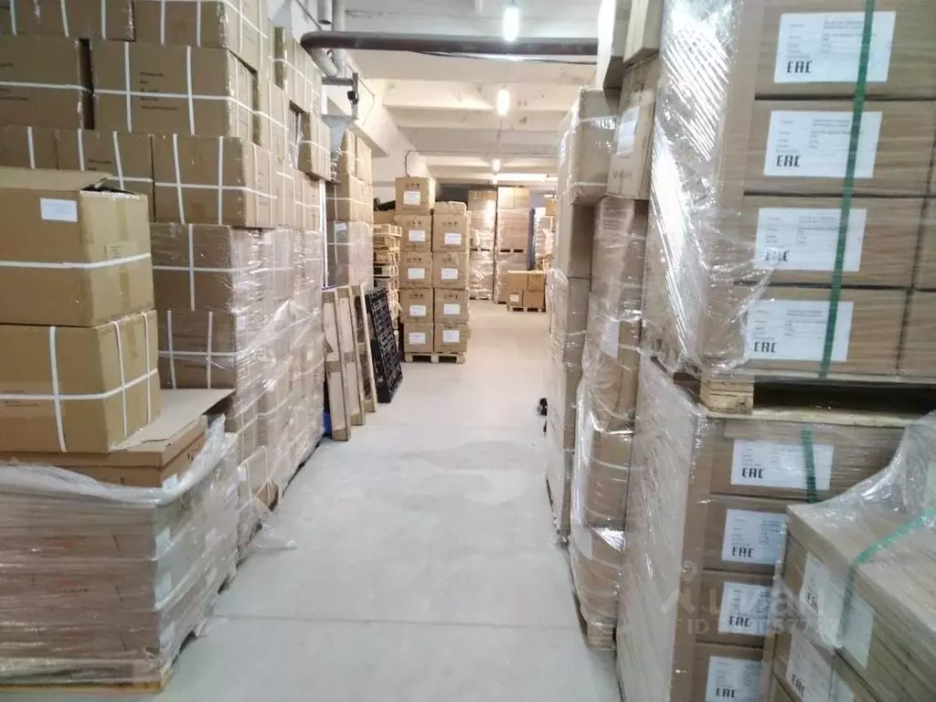 Склад в Новосибирская область, Новосибирск ул. Декабристов, 247/1 (350 ... - Фото 1