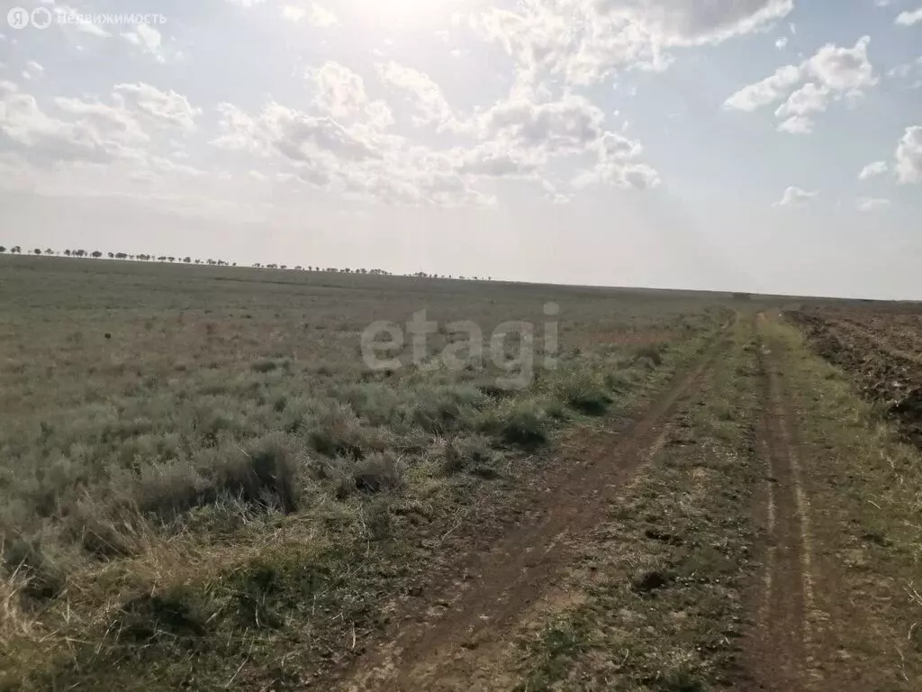 Участок в Сакский район, Штормовское сельское поселение, село ... - Фото 0