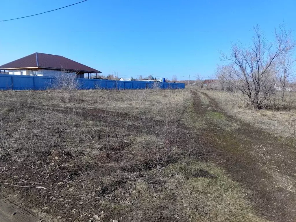 Участок в Саратовская область, Татищевский район, Вязовское ... - Фото 1
