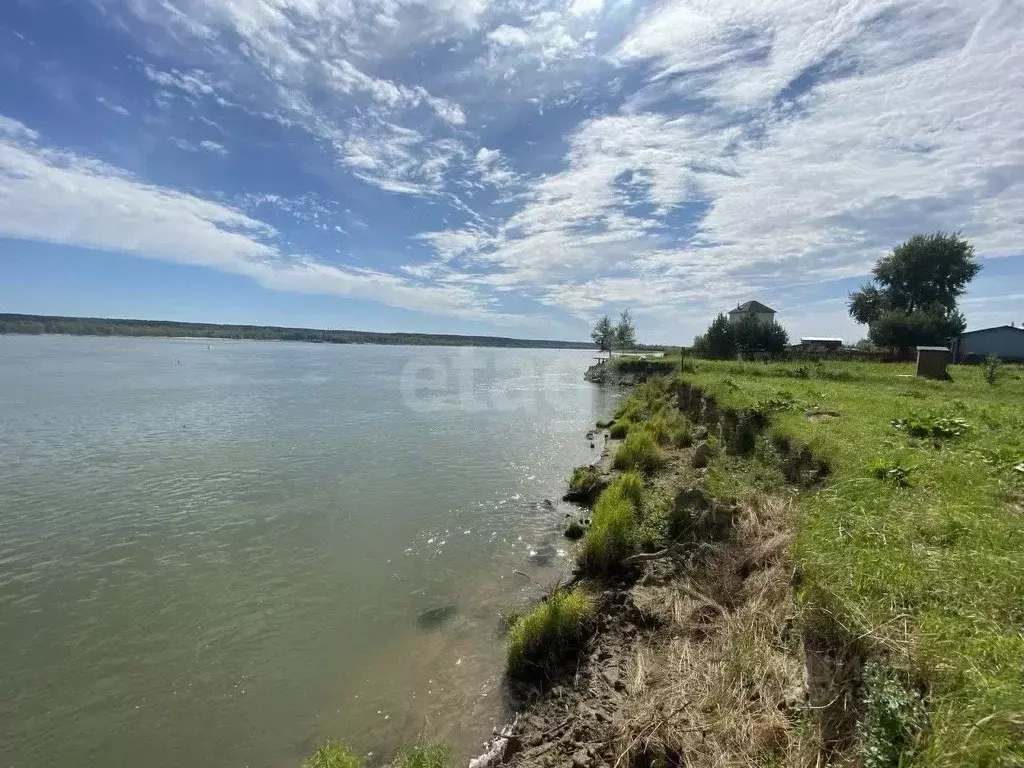 Участок в Новосибирская область, Колыванский район, Аква СНТ 132 (12.0 ... - Фото 0