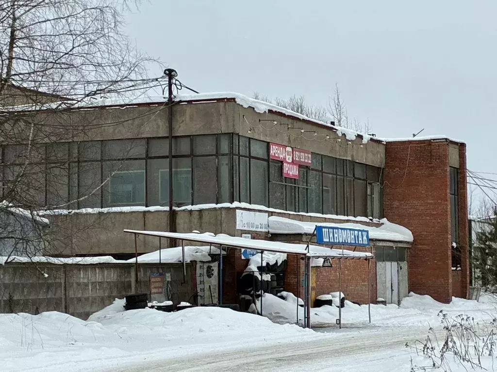 Помещение свободного назначения в Ленинградская область, Никольское ... - Фото 1