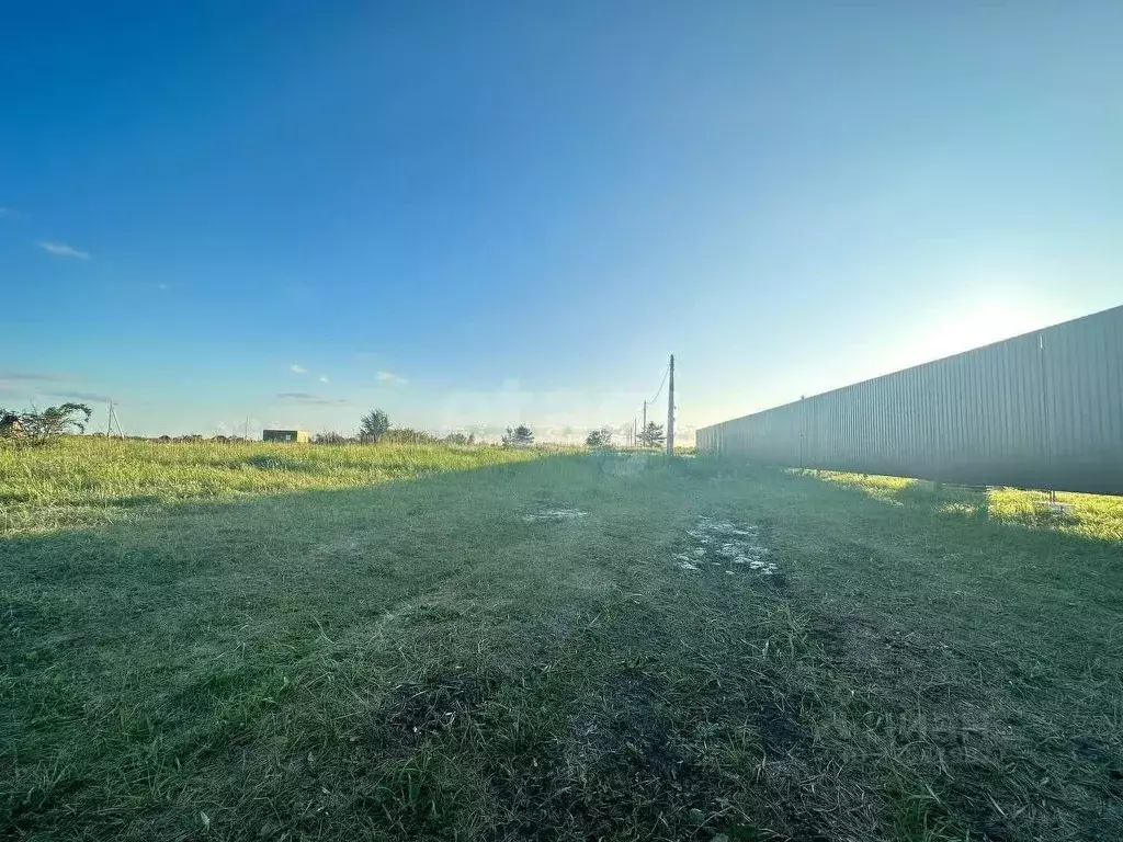 Участок в Воронежская область, Рамонский район, Березовское с/пос, д. ... - Фото 2