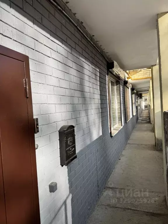 Помещение свободного назначения в Воронежская область, Воронеж ... - Фото 1