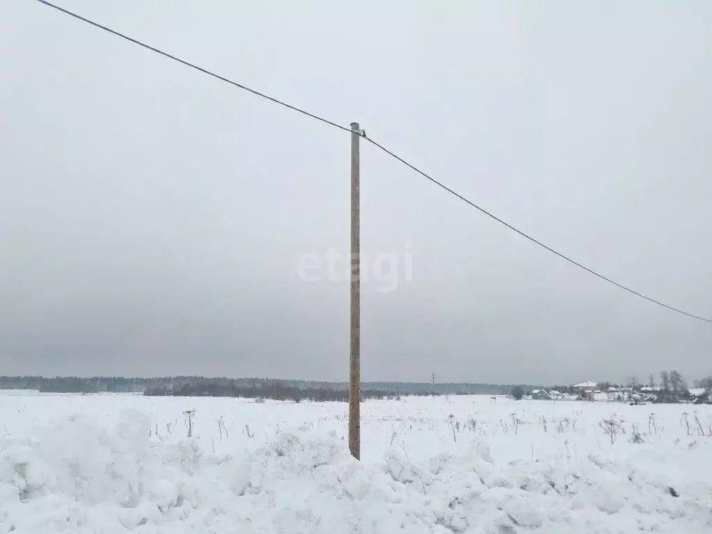 Участок в Вологодская область, Череповецкий район, Воскресенское ... - Фото 1