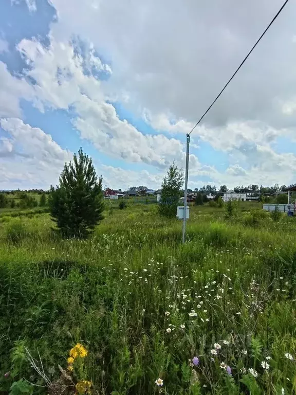 Участок в Нижегородская область, Богородский муниципальный округ, с. ... - Фото 1