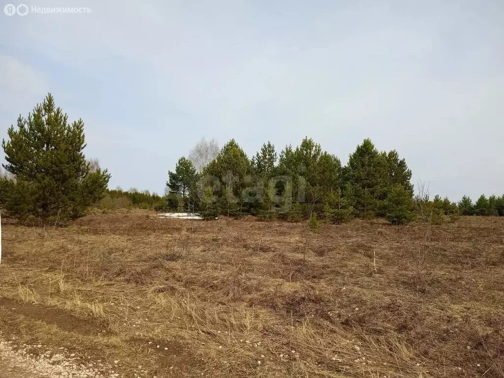 Участок в Можгинский район, деревня Залесный, Дачная улица (15 м) - Фото 2
