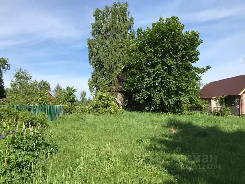 Участок в Тверская область, Осташковский городской округ, д. Турская  ... - Фото 1