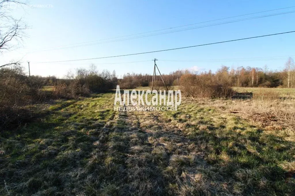 Участок в Выборгский район, Каменногорское городское поселение, ... - Фото 2