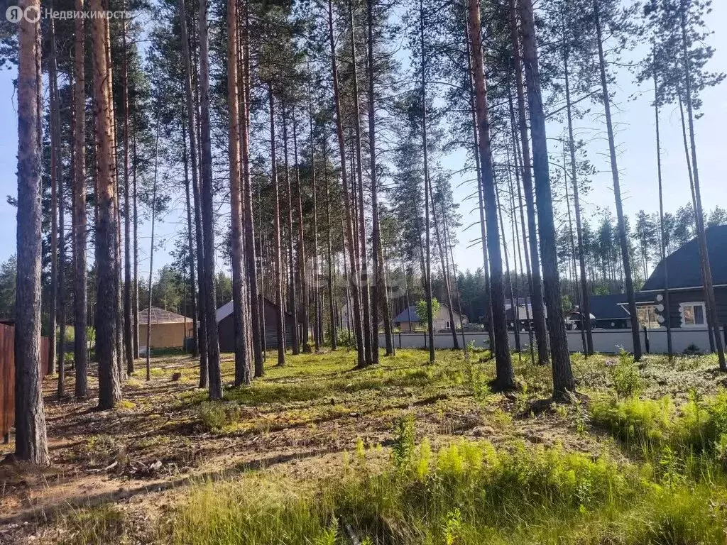 Участок в посёлок городского типа Верхняя Максаковка, микрорайон ... - Фото 1