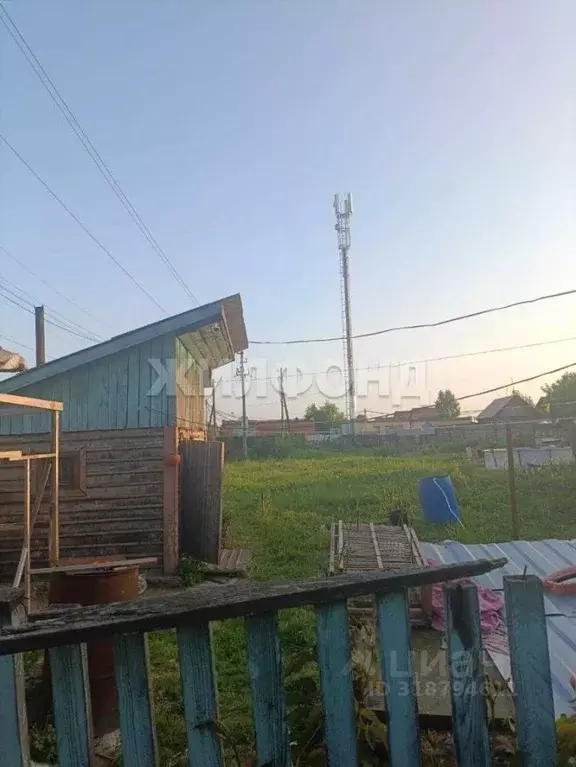 1-к кв. Новосибирская область, Новосибирский район, с. Толмачево ... - Фото 2