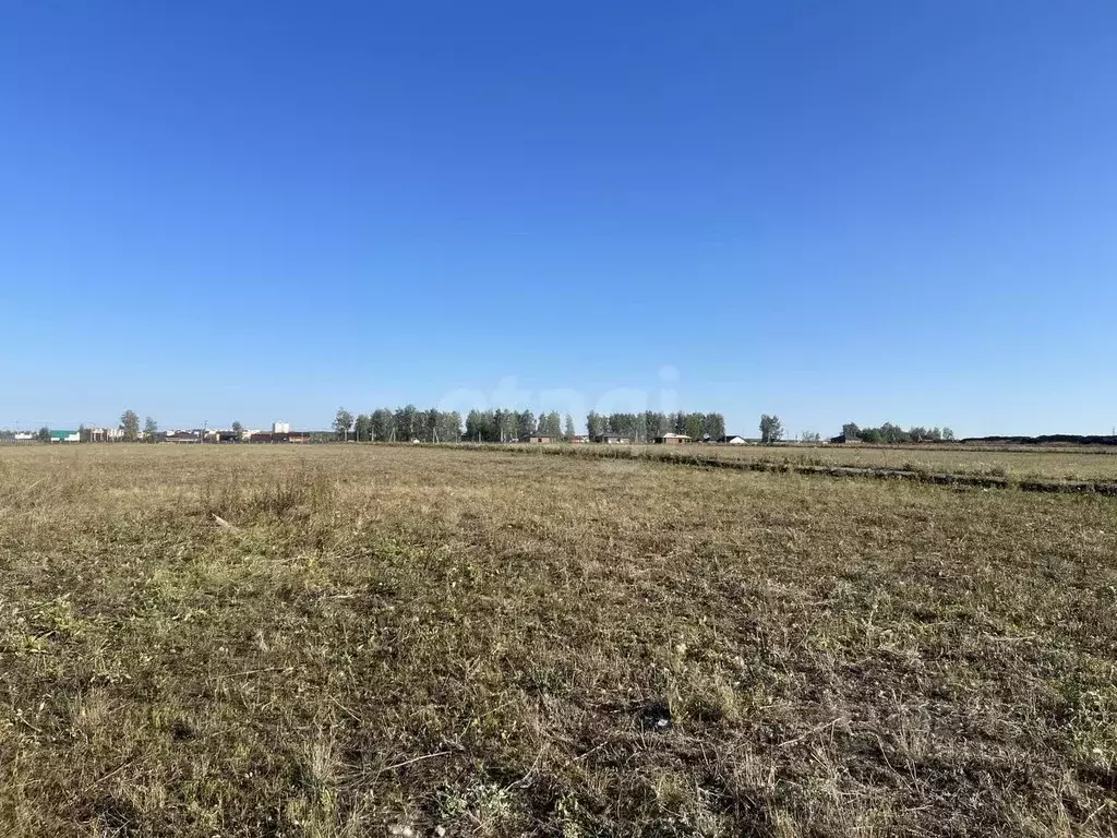 Участок в Мордовия, Лямбирский район, Берсеневское с/пос, Альтерра кп  ... - Фото 2