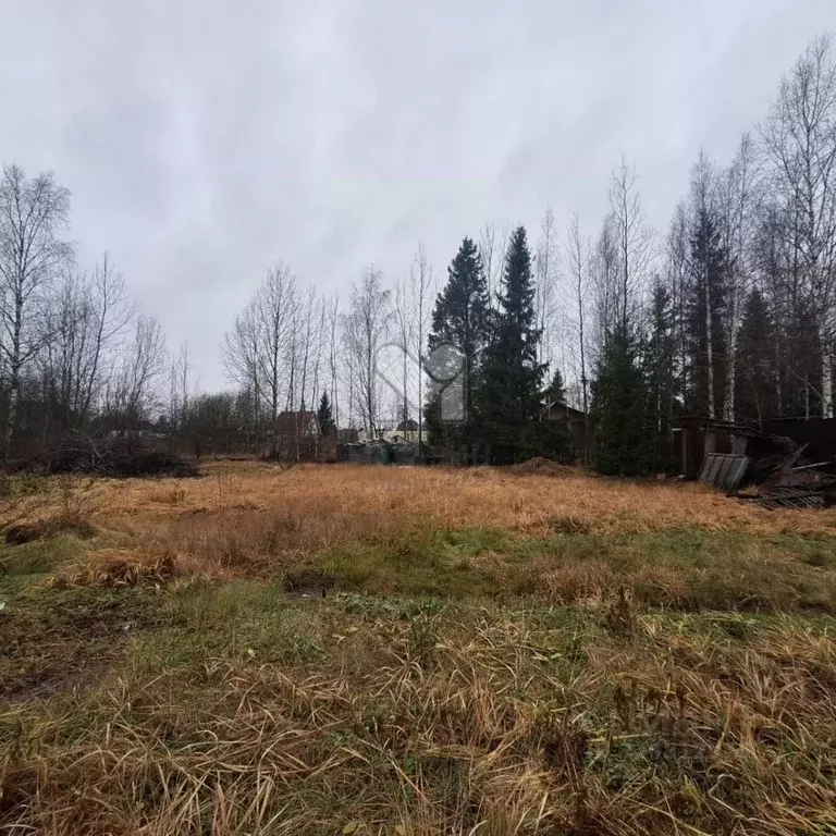 Участок в Ленинградская область, Тосненский район, Трубникоборское ... - Фото 0