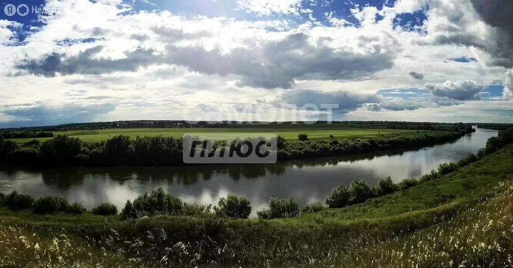 Участок в Липецкая область, Задонский муниципальный округ, село ... - Фото 1