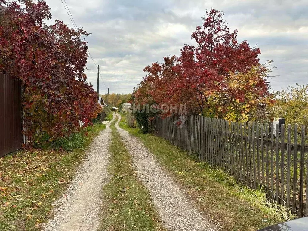 Дом в Новосибирская область, Бердск Ягодка СНТ, 112 (10 м) - Фото 1