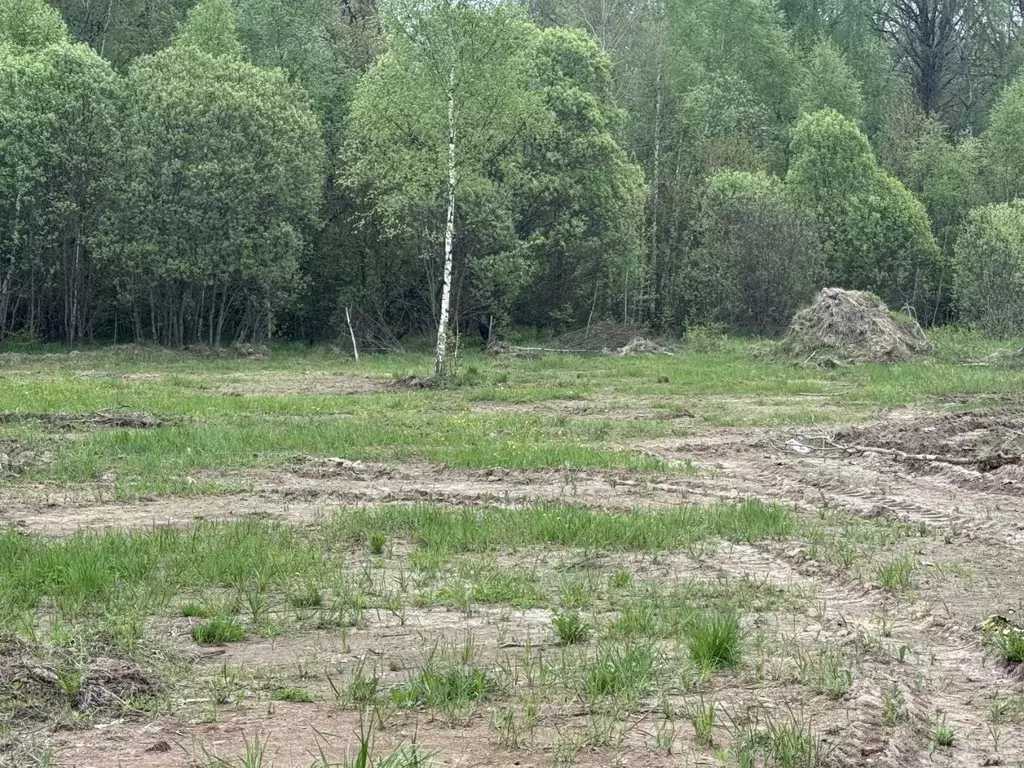 Участок в Москва Вороновское поселение, № 415 кв-л,  (11.31 сот.) - Фото 1